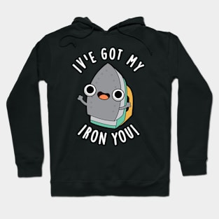 I've Got My Iron You Funny Appliance Pun Hoodie